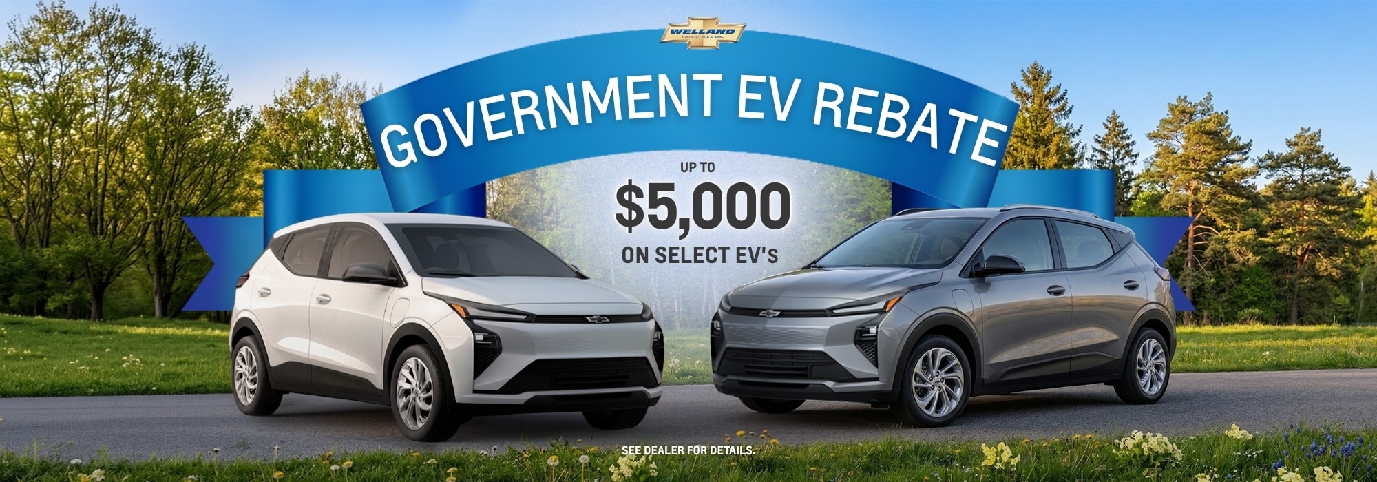 Two electric vehicles on a scenic road promoting a $5,000 government EV rebate offer.